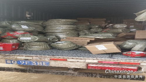 福來翔鴿具寵物用品生產(chǎn)廠